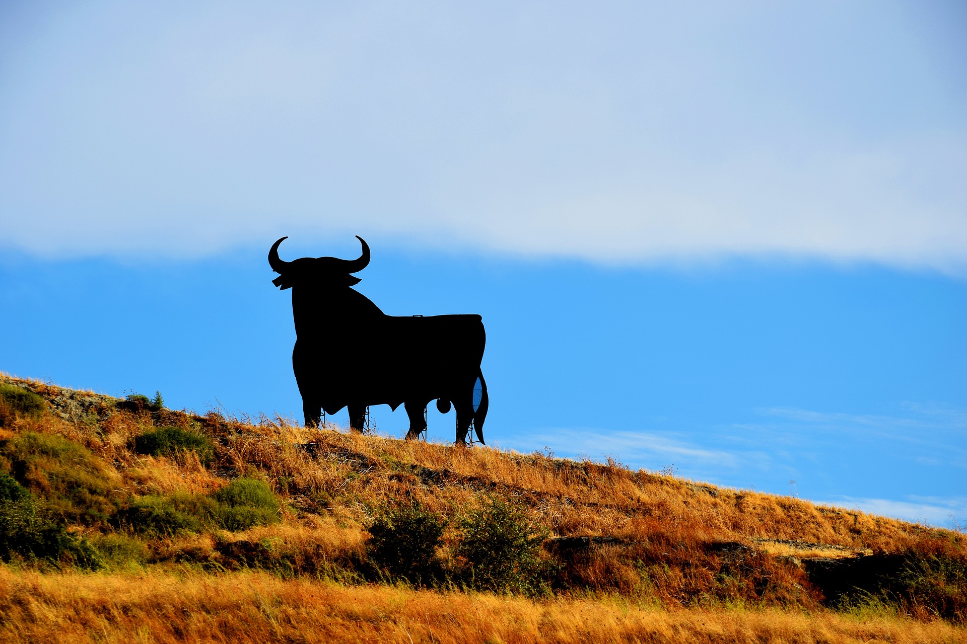 toro_spana